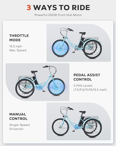 24 inch 250W Electric Tricycle with 468Wh Removable Battery H8256