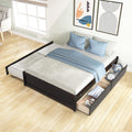 Full Size Wood Platform Bed with Trundle and Drawers C82380