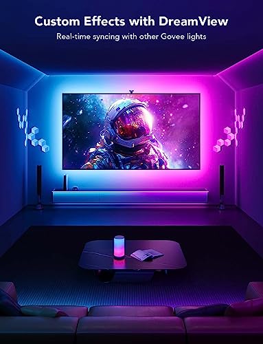 TV LED Backlight with Dual Cameras, RGBIC Wi-Fi LED Strip Lights Y320992
