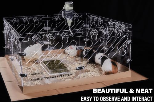 Acrylic Guinea Pig Cage 4x2ft Small Animal Cage E583801
