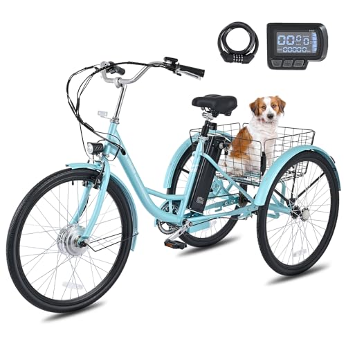 24 inch 250W Electric Tricycle with 468Wh Removable Battery H8256