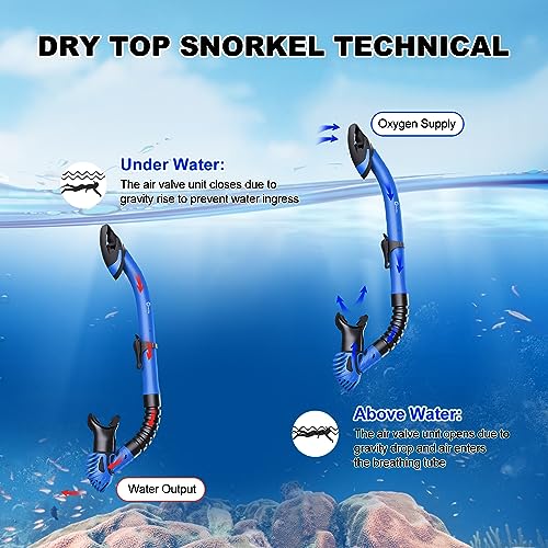 Dry Snorkel Set with Tempered Glass Snorkel Mask and Dry Snorkel Tube V856