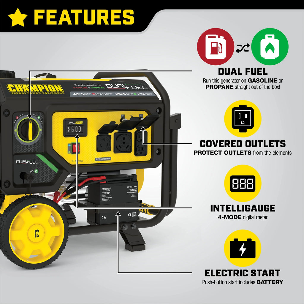 3500-Watt Dual Fuel Portable Generator with Electric Start R481