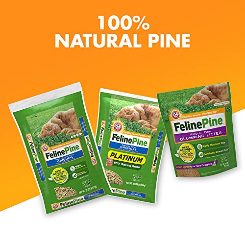 100% Natural Cat Litter, 20Lb Z924788