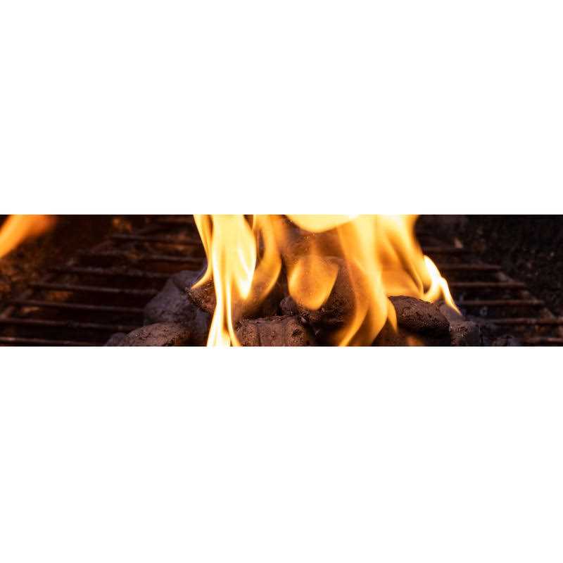 Charcoal Lighter Fluid A859
