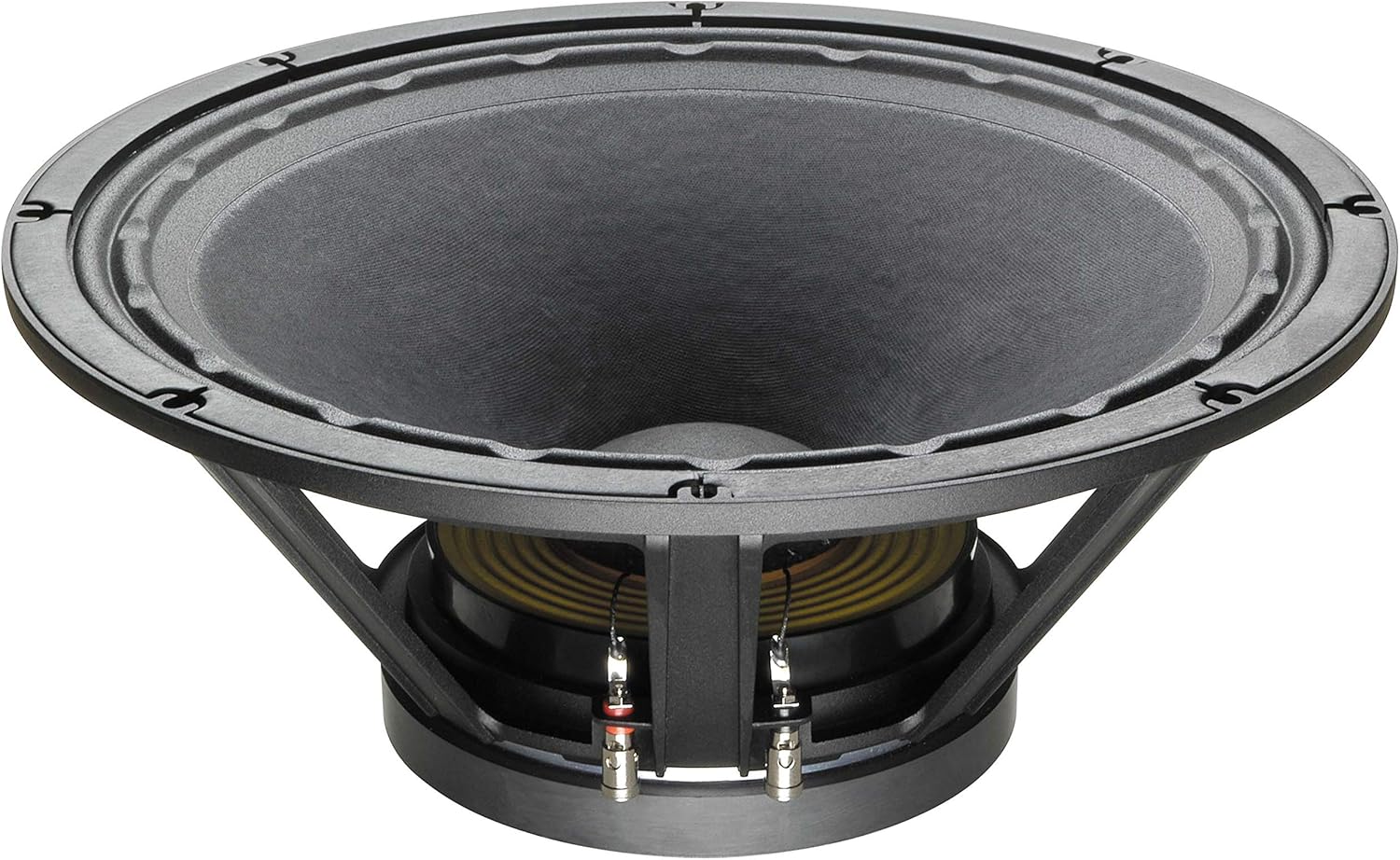 18-Inch 1000-Watt Subwoofer, Black H192762