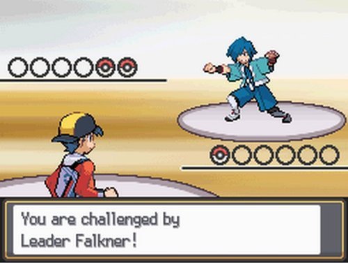 Pokemon HeartGold Version F16538