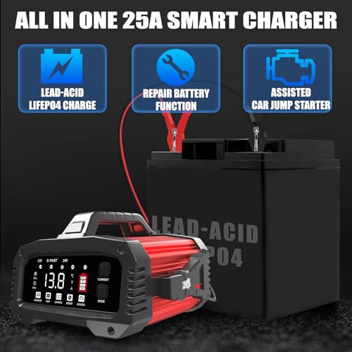 25A 12/24V Lifepo4 Lead Acid Car Battery Charger B18922