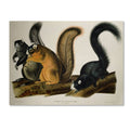 Canvas Art Z760