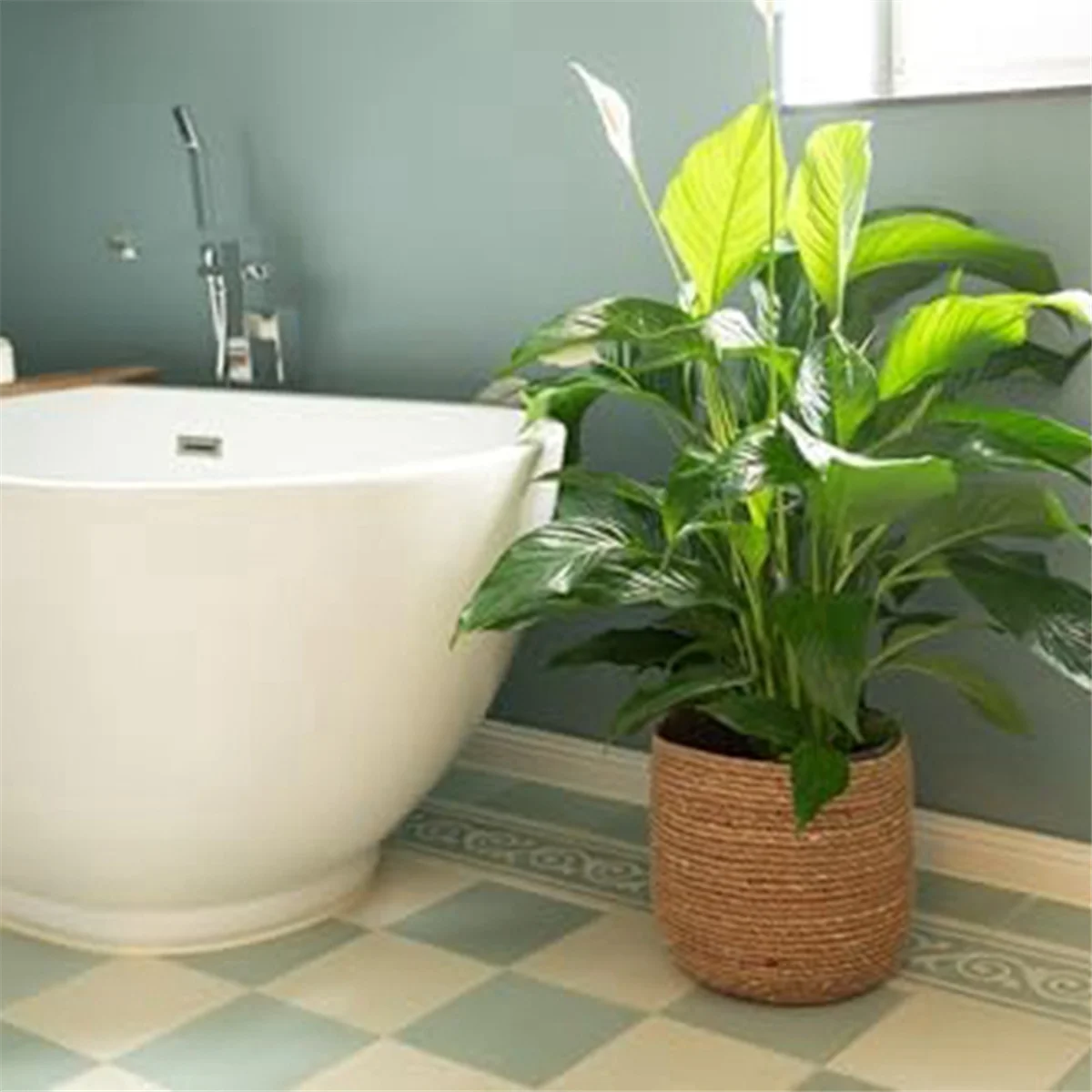 Seagrass Woven Plant Pot with Plastic Film Insert D2723