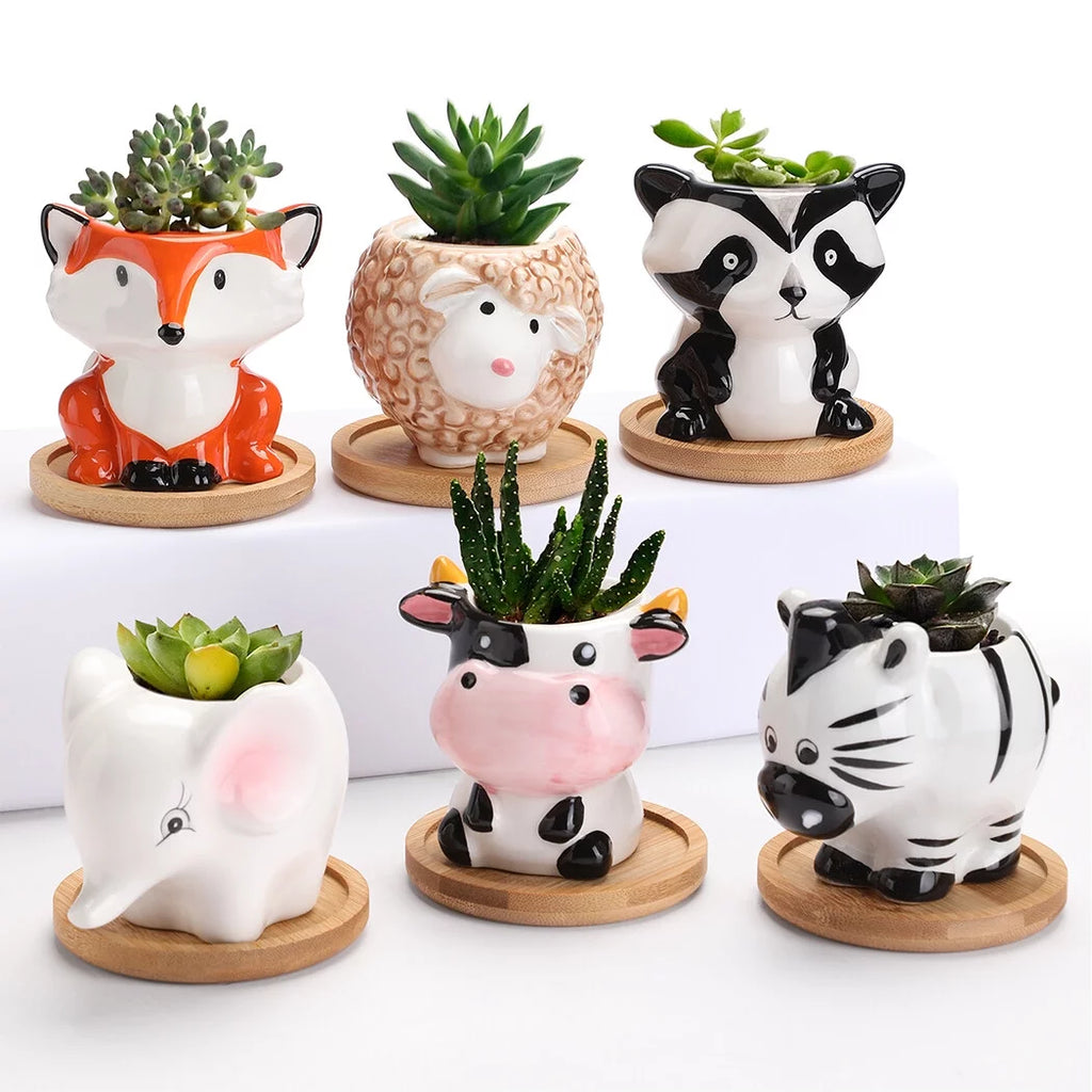 6Pcs Ceramic Succulent Planter Set M46456
