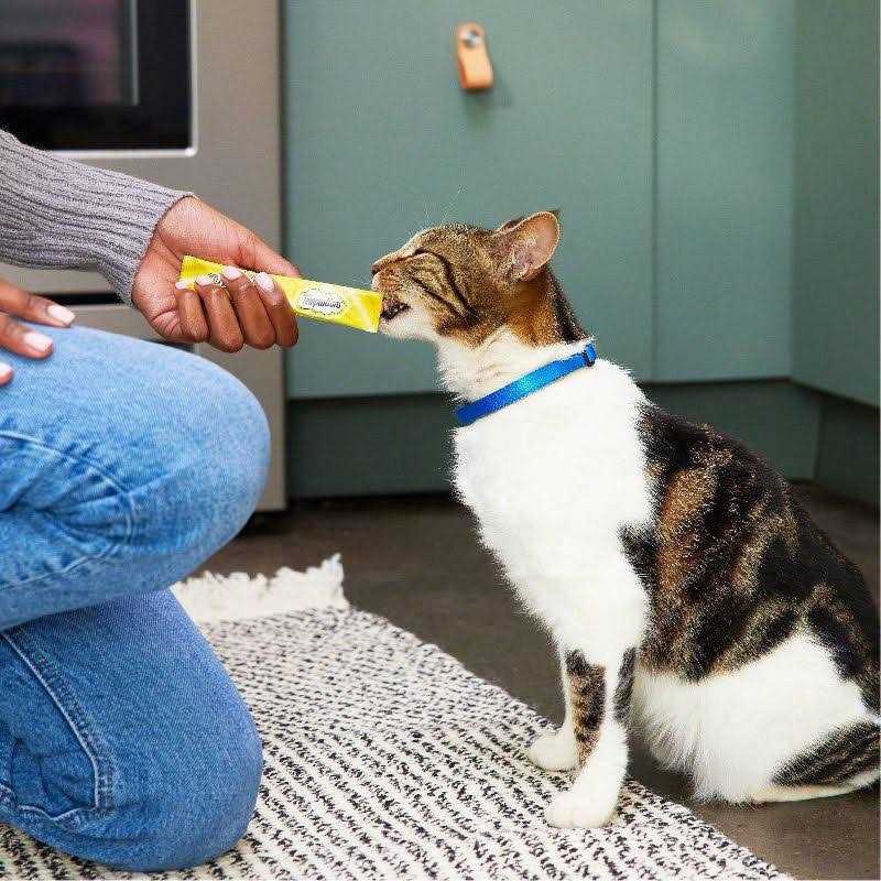 Creamy Puree Lickable Cat Treats H240530