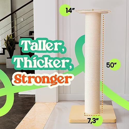 50" Tall Cat Scratching Post, 7.3" Thick Post, Solid Wood Base & Natural Sisal Rope Y27858