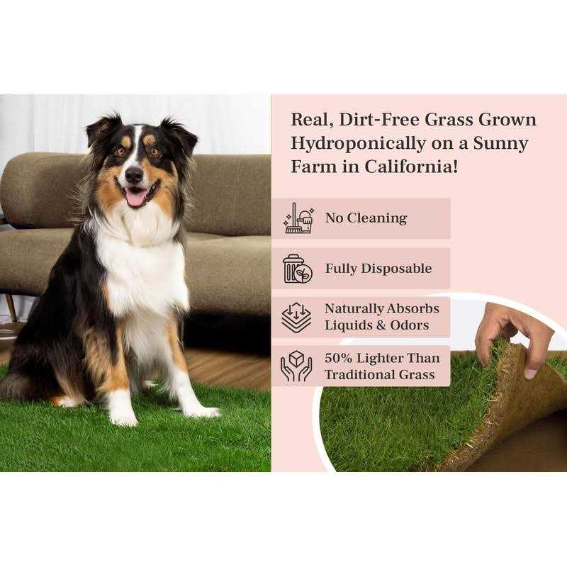 Real Grass Dog Potty H143275