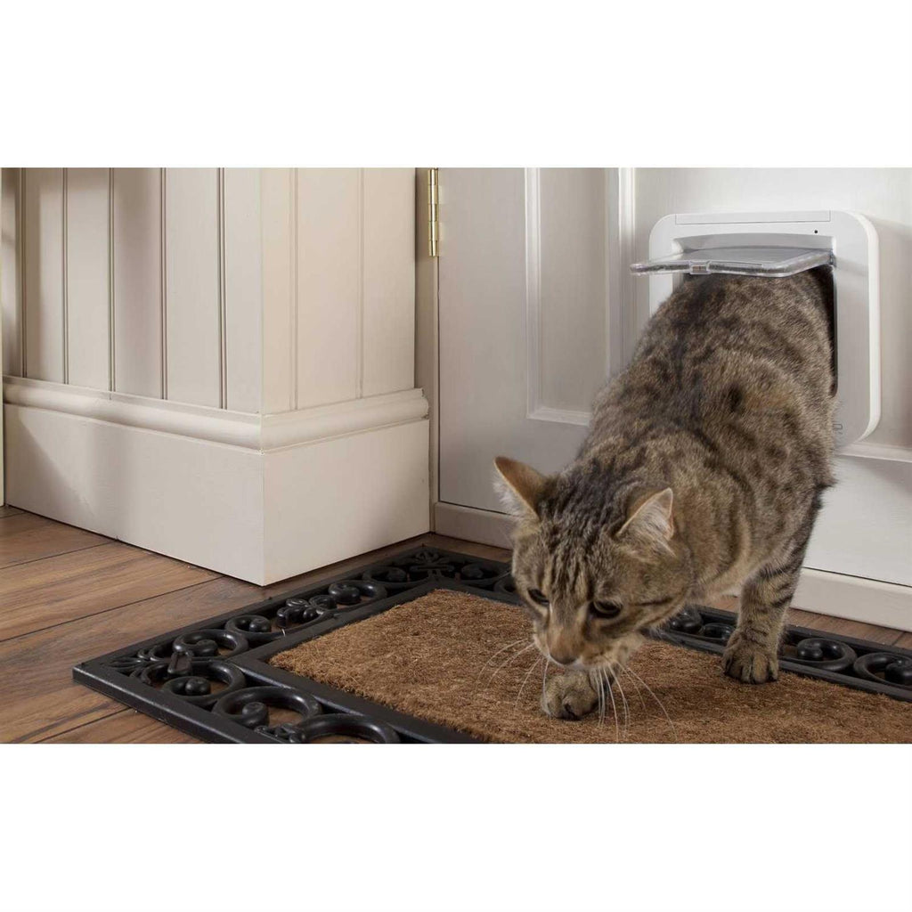 Microchip Pet Door Y190406