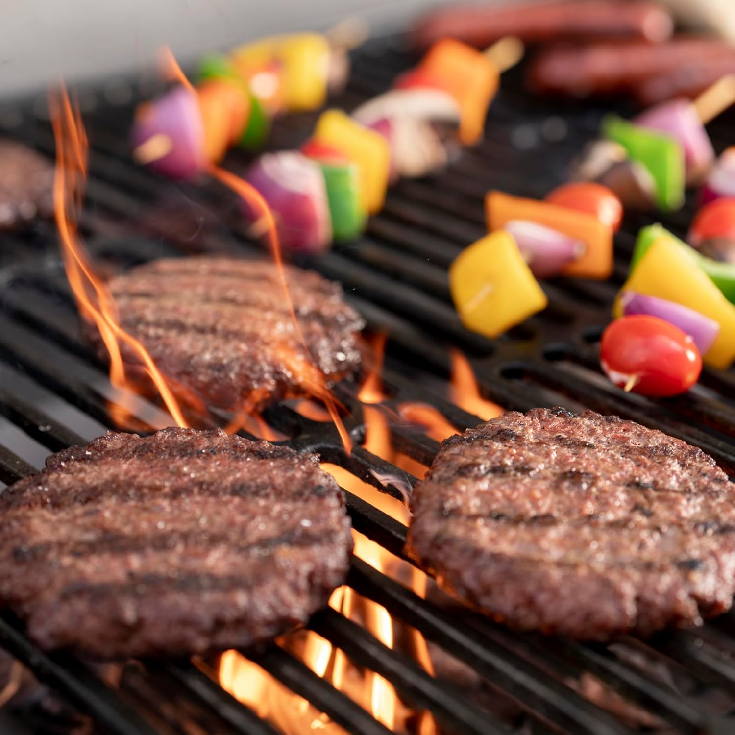 Charcoal Grill E510