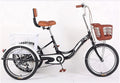 3 Wheel Adult Tricycle with Shopping Basket R757