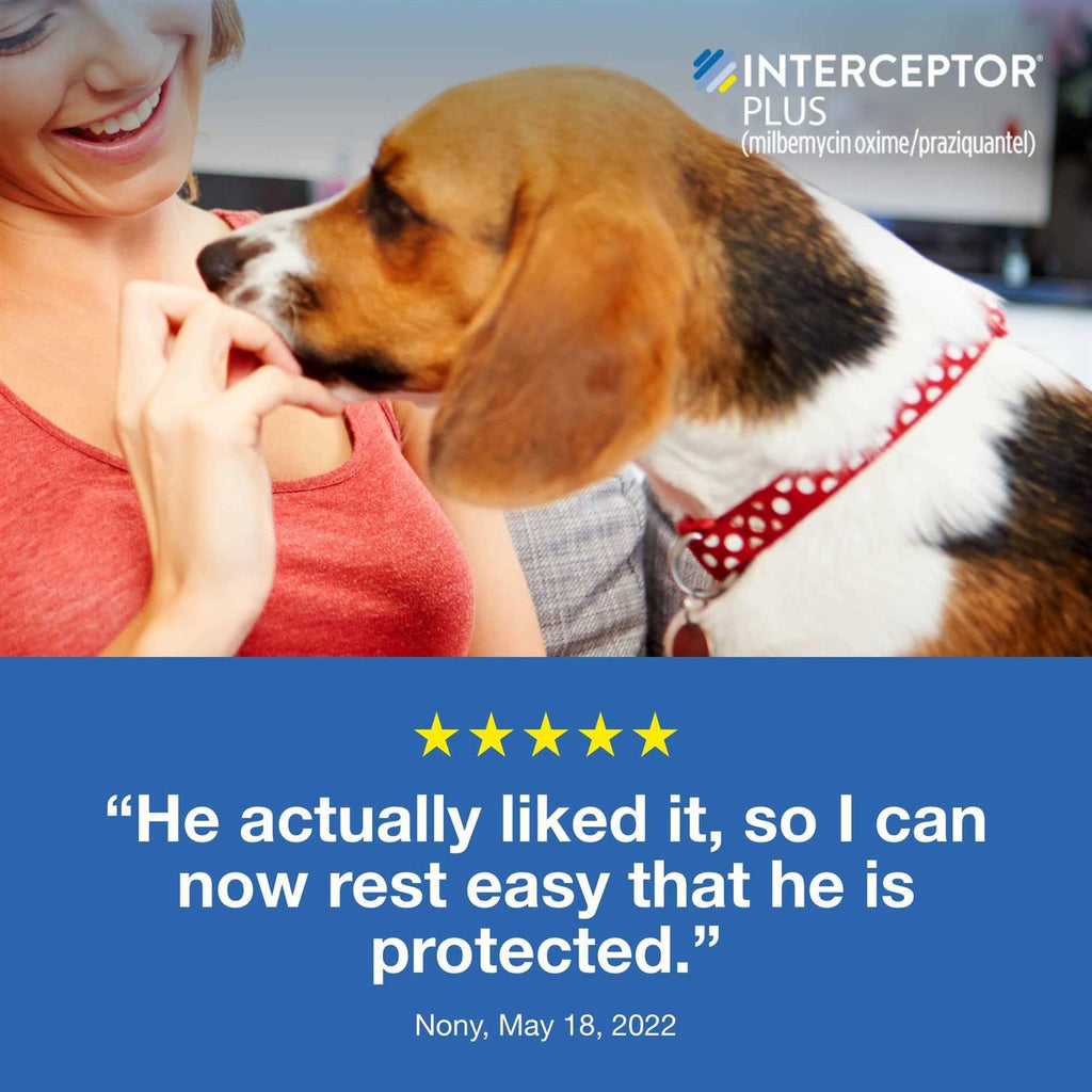 Interceptor Plus Chewable for Dogs J74831