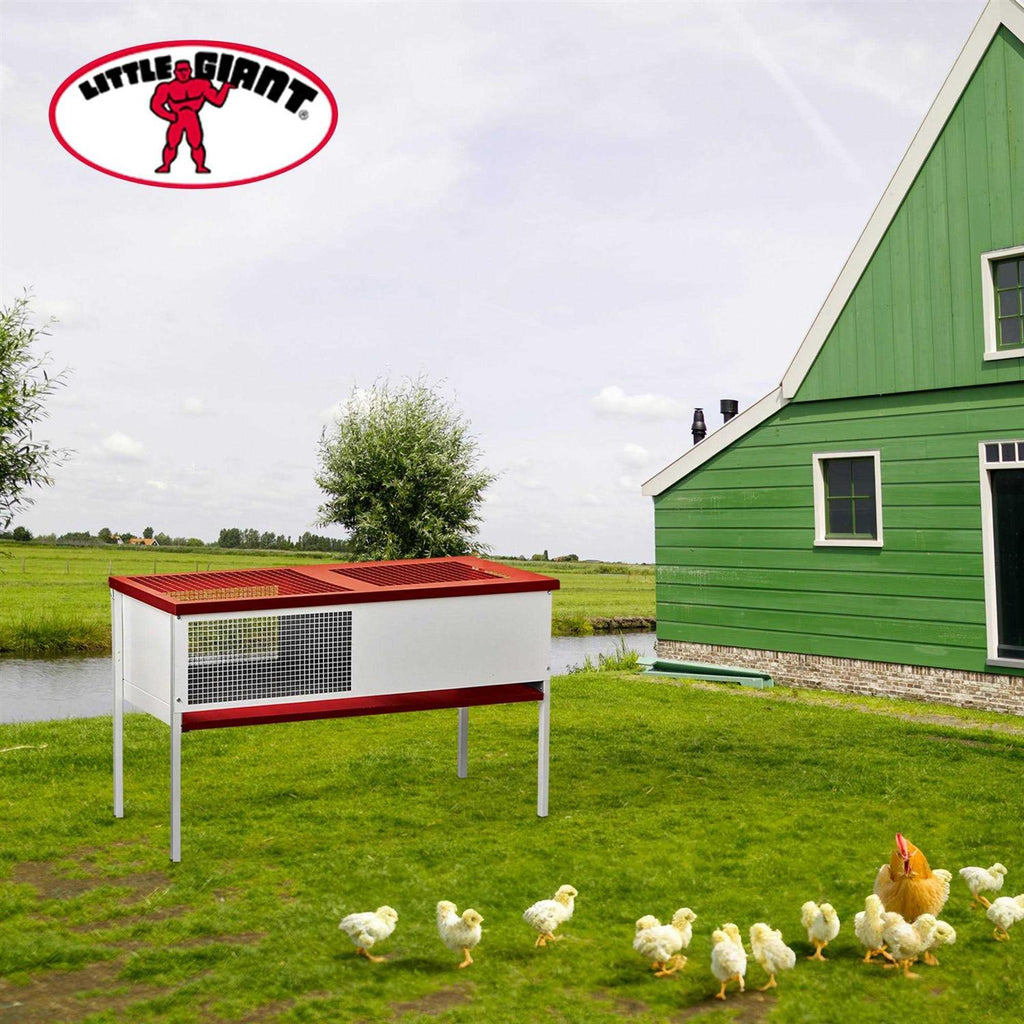 Galvanized Chick Brooder Box V272426