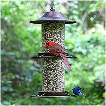 Panorama Bird Feeder M7288