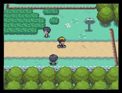 Pokemon HeartGold Version F16538