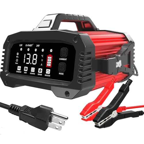 25A 12/24V Lifepo4 Lead Acid Car Battery Charger B18922