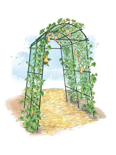 Lightweight Metal Garden Trellis G589