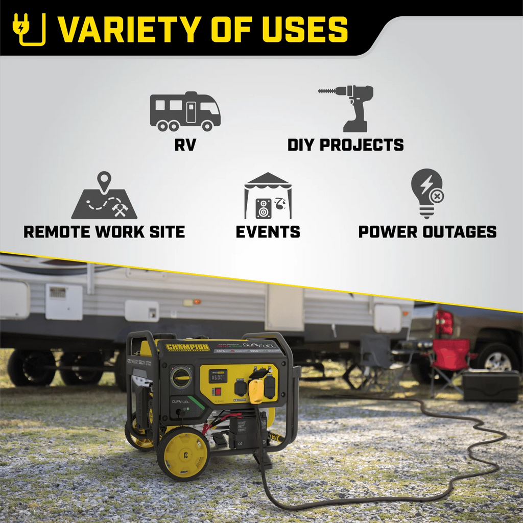 3500-Watt Dual Fuel Portable Generator with Electric Start R481