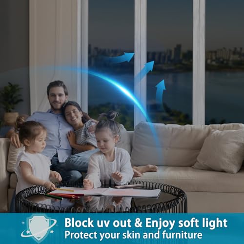 Diamond Black Silver One Way Window Film, 29.5 inch x 6.5 feet C950025