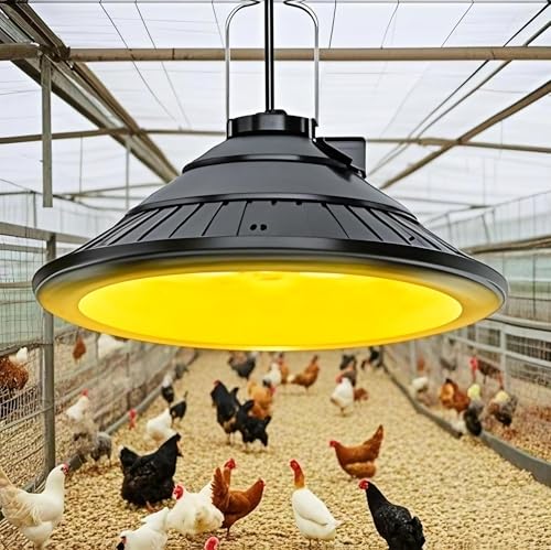 3000K Warm LED Hanging Ceiling Pendant Light with Timer Q3493