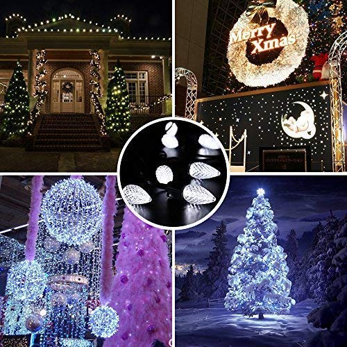 Cool White 16FT 25 LED Faceted Christmas Lights B956