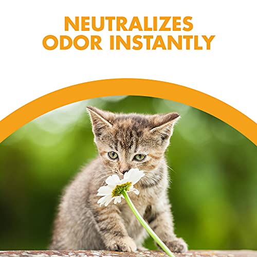 100% Natural Cat Litter, 20Lb Z924788