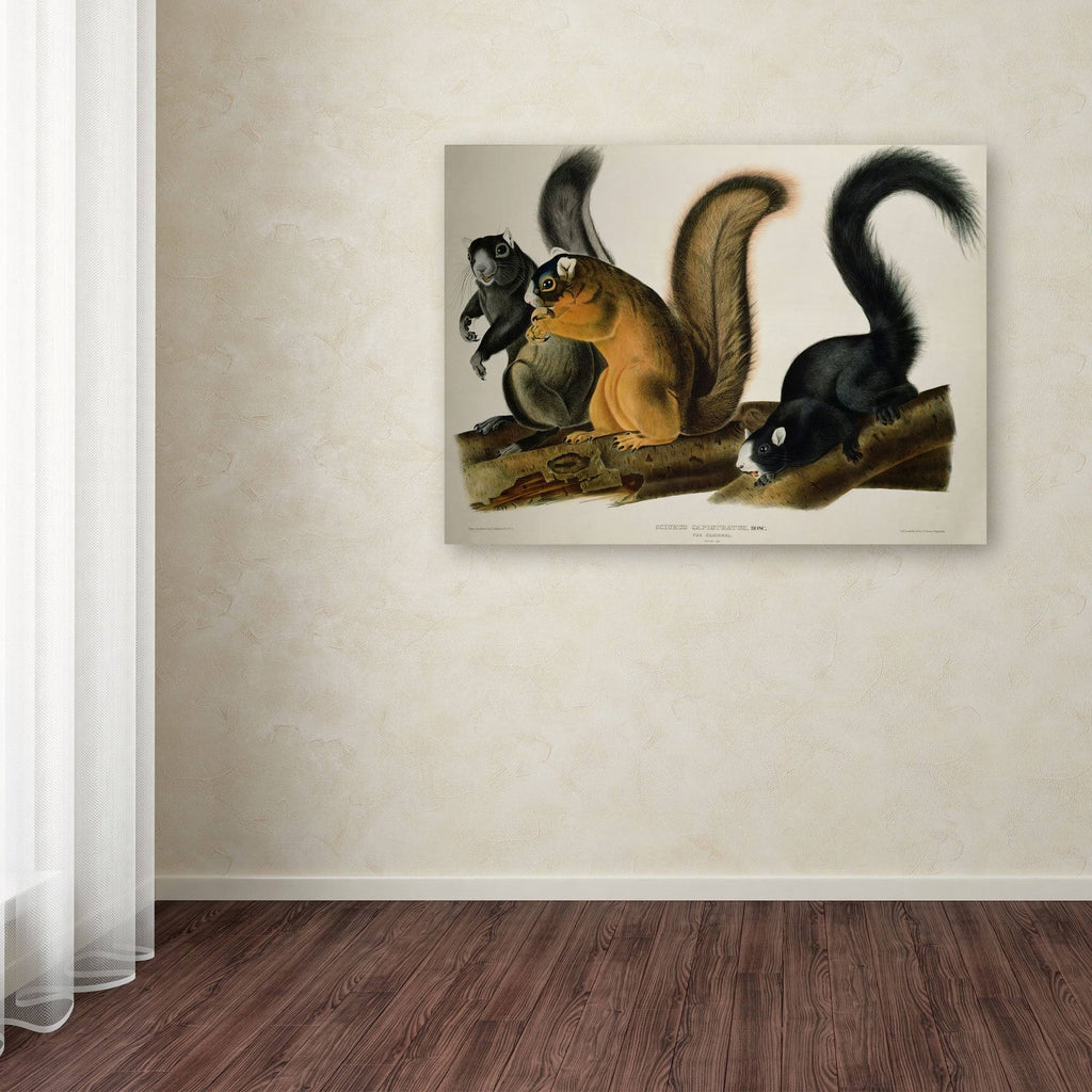 Canvas Art Z760