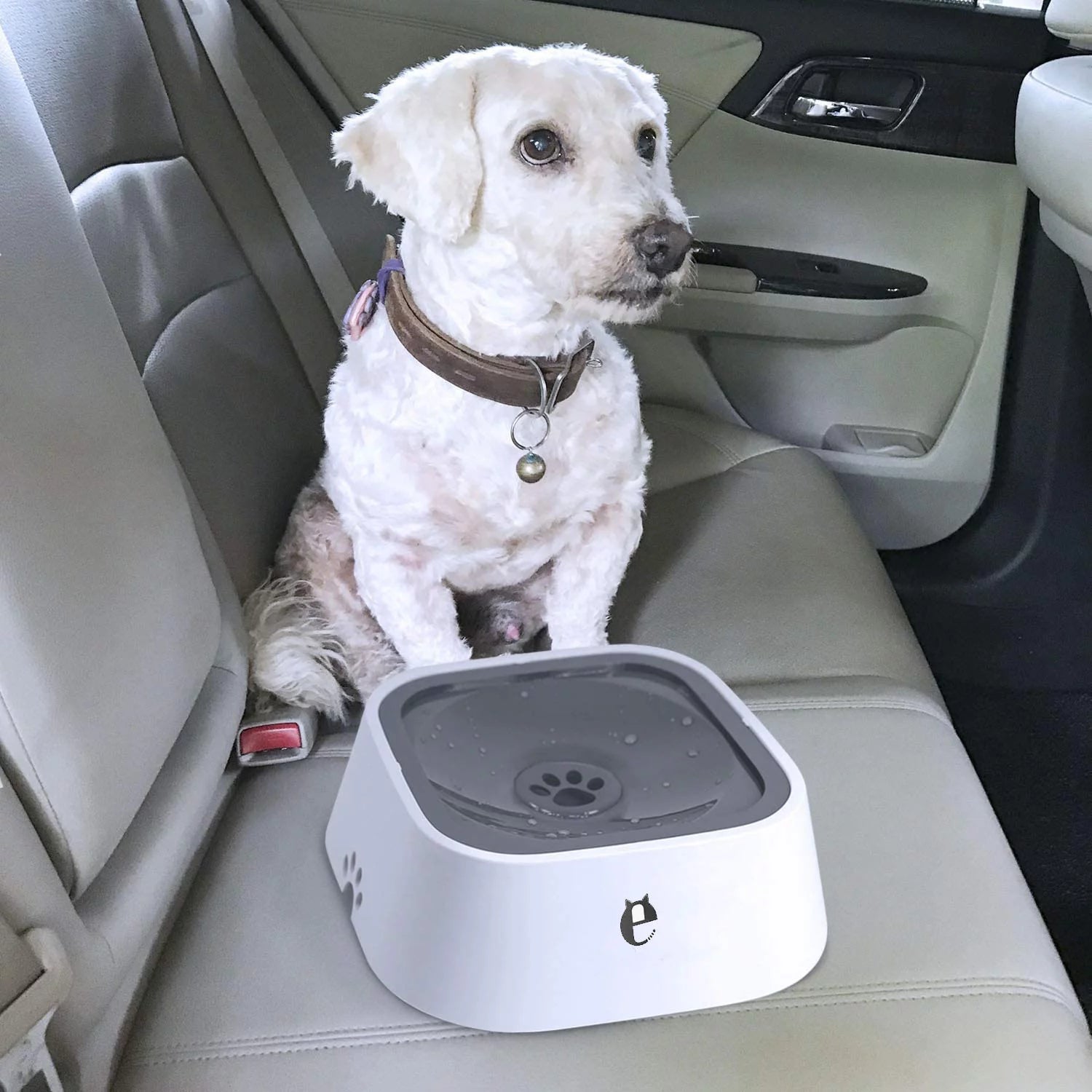 35OZ No-Spill Slow Water Feeder Dog Bowl GREY I84913