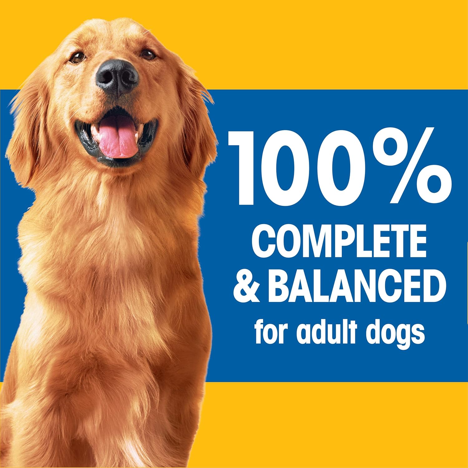 44 lb. Dry Dog Food Roasted Chicken Rice Vegetable Flavor Kibble A740190