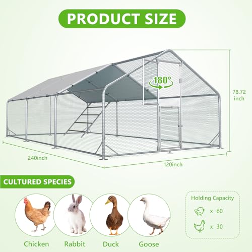 Large Chicken Coop with Anti-UV Cover D6378