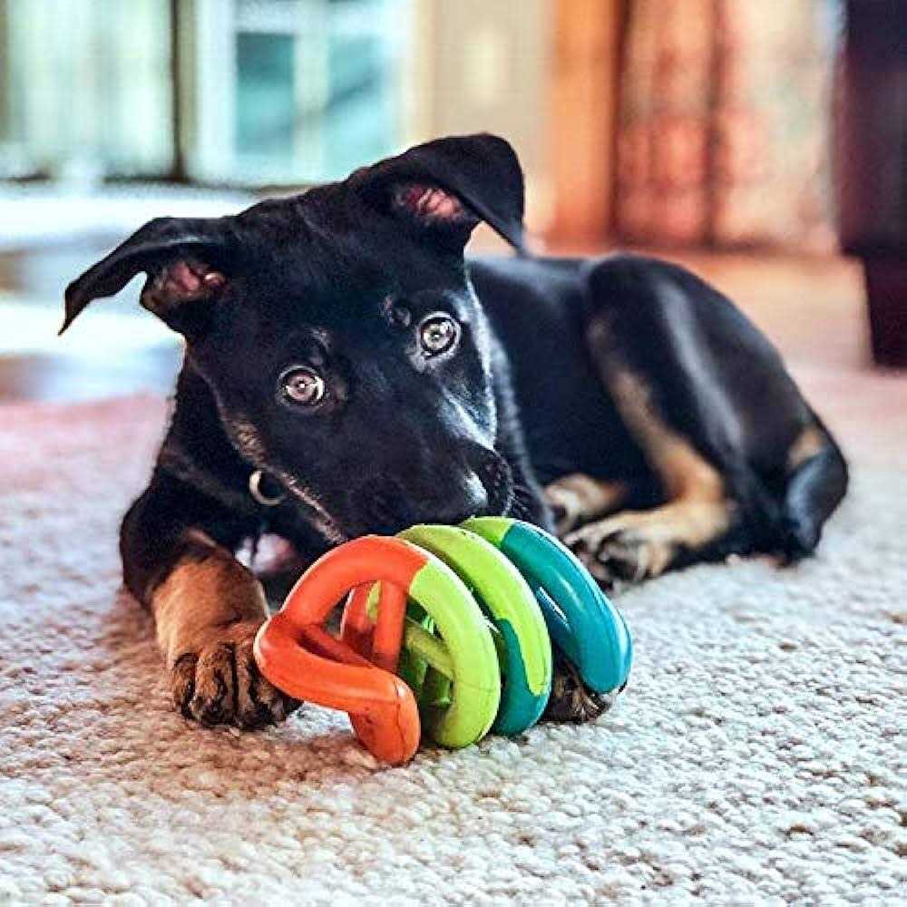 Dog Toy L102
