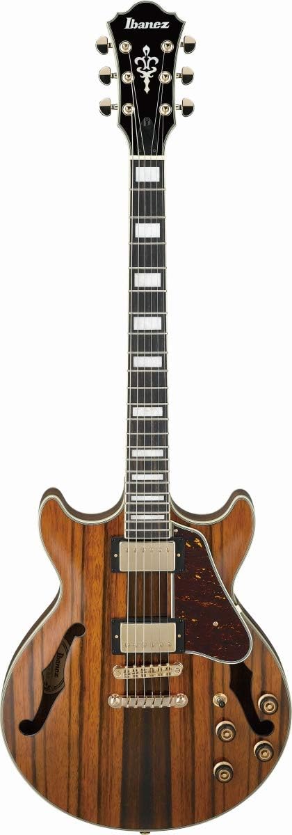 Macassar Ebony Semi-Hollow Body Electric Guitar C5291
