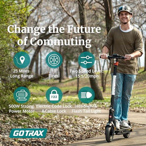 10” Solid Tires 500W Foldable Electric Scooter B9022