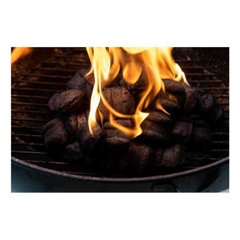 Charcoal Lighter Fluid A859