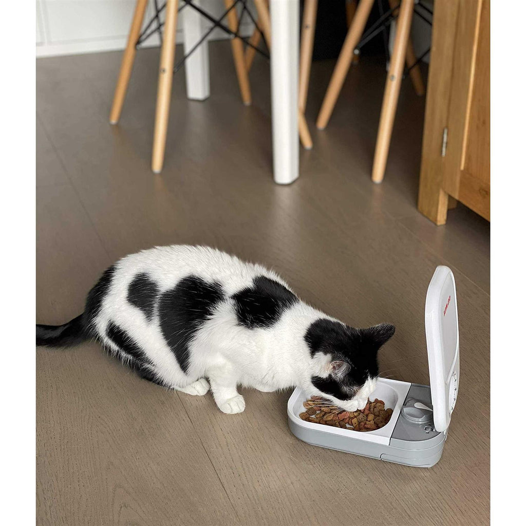 Automatic Pet Feeder F63261
