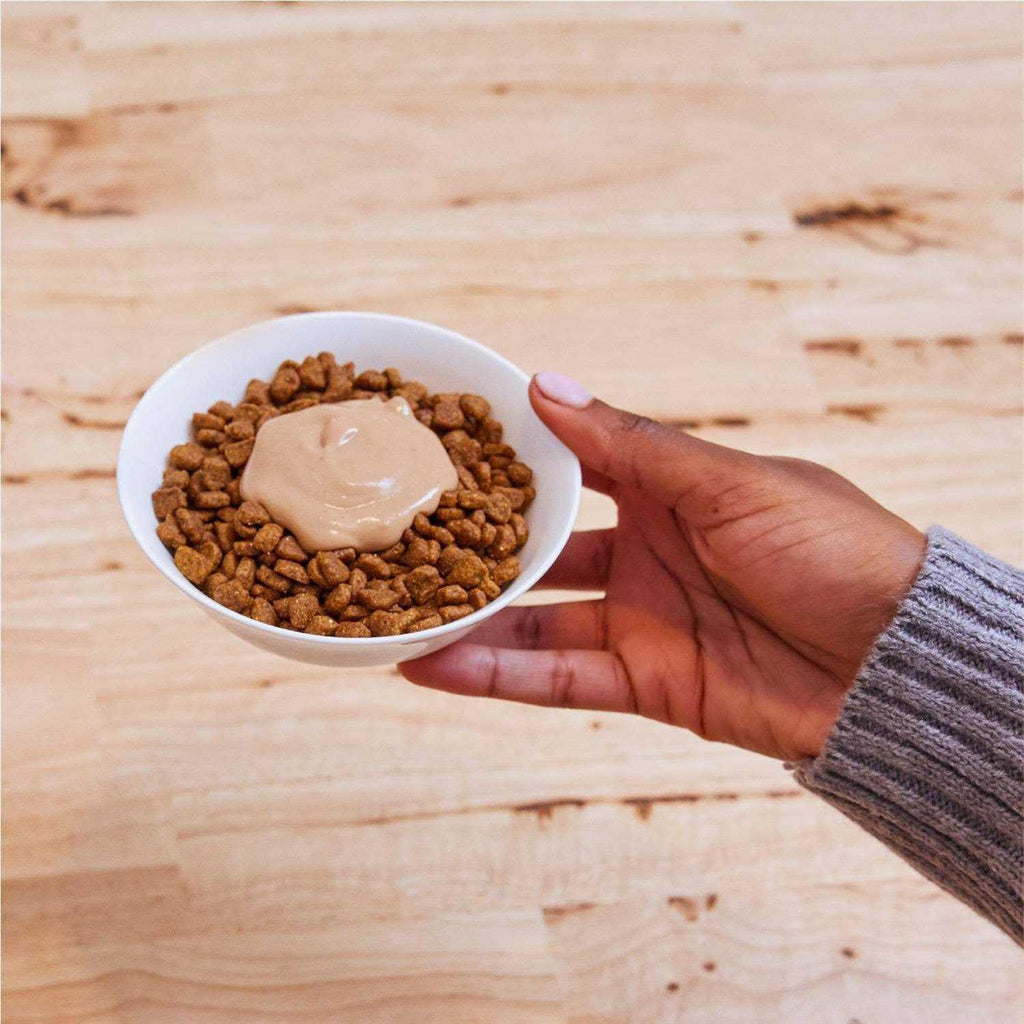 Creamy Puree Lickable Cat Treats H240530