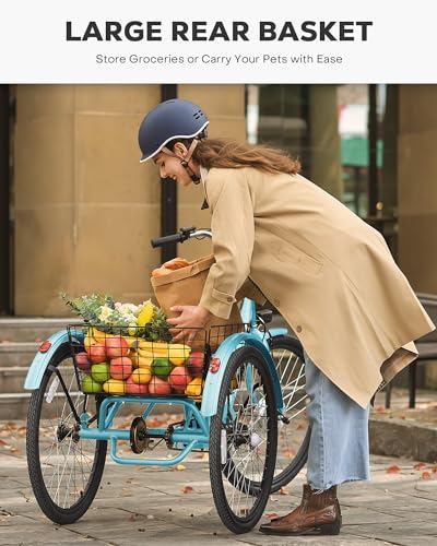 24 inch 250W Electric Tricycle with 468Wh Removable Battery H8256