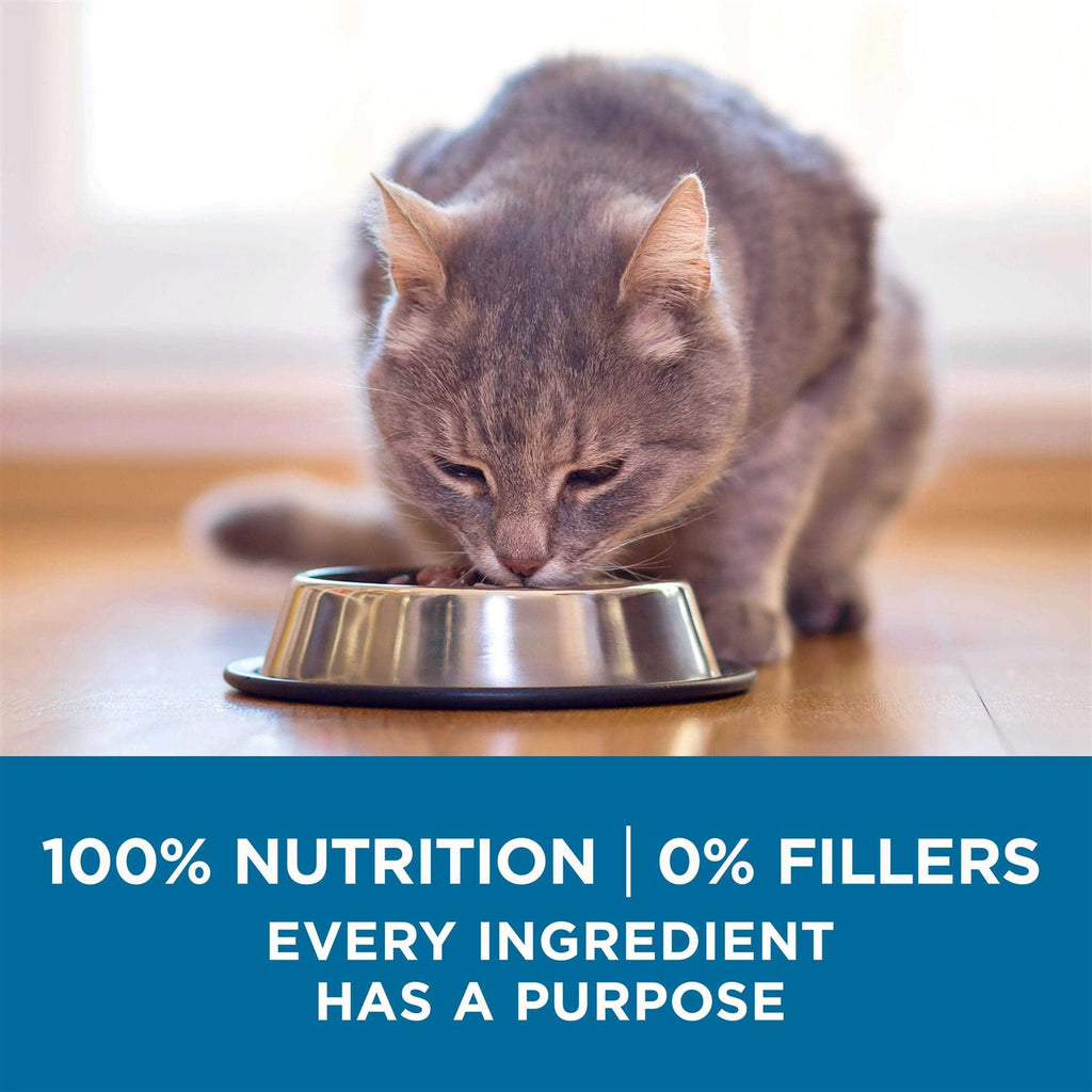Senior Dry Cat Food D62931