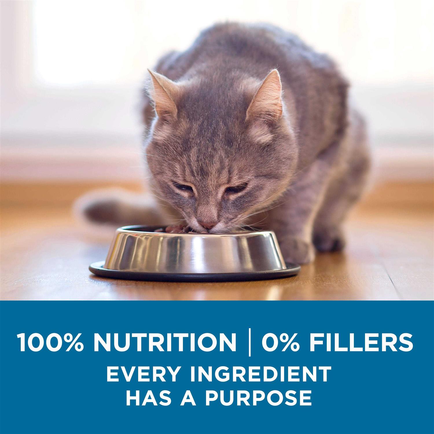Senior Dry Cat Food D62931