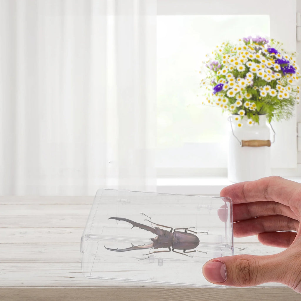 Transparent Rectangle Storage Box E93311
