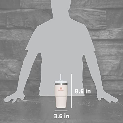 Stainless Steel Vacuum Insulated Tumbler with Lid and Straw M876