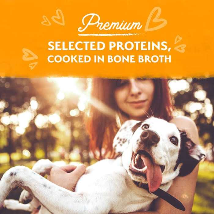 Natural Balance Limited Ingredient Stew Wet Dog Food J238
