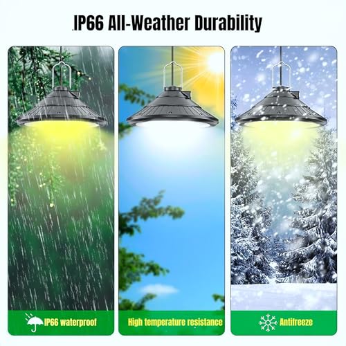 3000K Warm LED Hanging Ceiling Pendant Light with Timer Q3493
