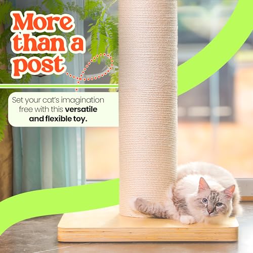 50" Tall Cat Scratching Post, 7.3" Thick Post, Solid Wood Base & Natural Sisal Rope Y27858